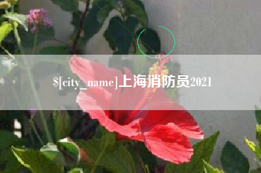 肇庆上海消防员2021