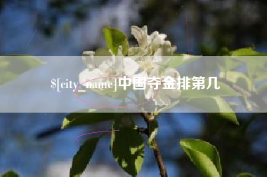 肇庆中国夺金排第几