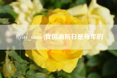 肇庆我国消防日是每年的