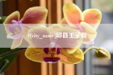 肇庆邱县王子磊