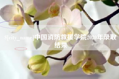 肇庆中国消防救援学院2020年录取结果