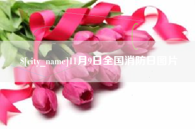 肇庆11月9日全国消防日图片