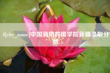 肇庆中国消防救援学院新疆录取分数