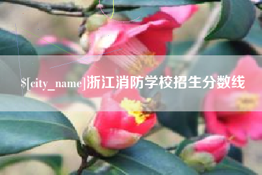 肇庆浙江消防学校招生分数线