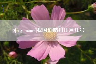 肇庆我国消防日几月几号