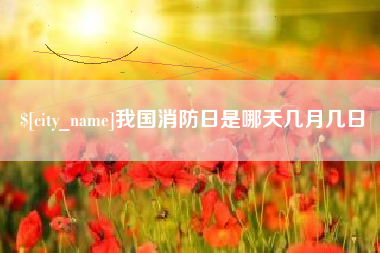 肇庆我国消防日是哪天几月几日