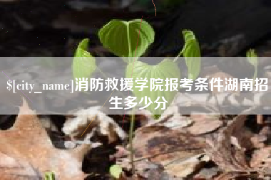 肇庆消防救援学院报考条件湖南招生多少分