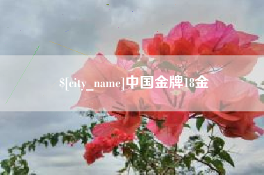 肇庆中国金牌18金