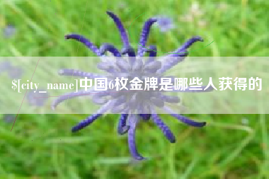 肇庆中国6枚金牌是哪些人获得的