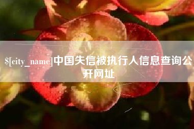 肇庆中国失信被执行人信息查询公开网址