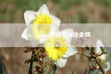 肇庆奥运会39块金牌