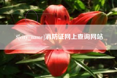 肇庆消防证网上查询网站