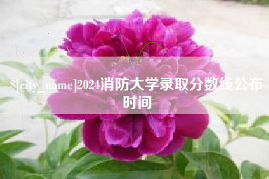 肇庆2024消防大学录取分数线公布时间