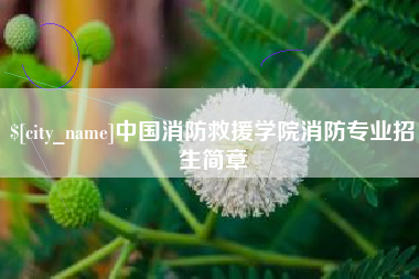 肇庆中国消防救援学院消防专业招生简章