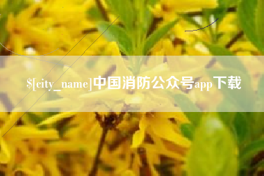 肇庆中国消防公众号app下载