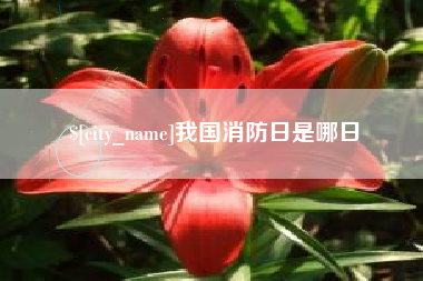 肇庆我国消防日是哪日