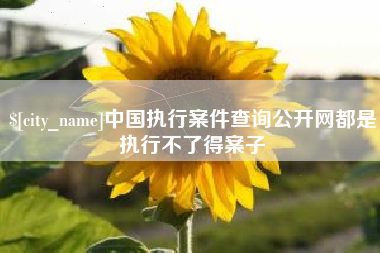 肇庆中国执行案件查询公开网都是执行不了得案子
