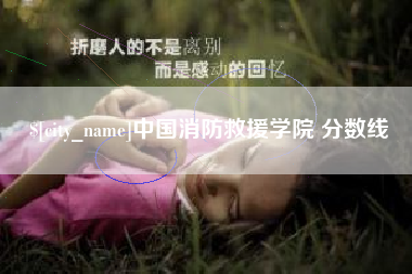 肇庆中国消防救援学院 分数线