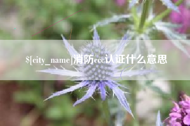 肇庆消防ccc认证什么意思