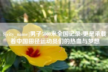 肇庆男子5000米全国记录-更是承载着中国田径运动员们的热血与梦想