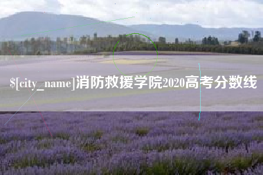 肇庆消防救援学院2020高考分数线