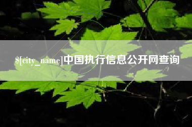 肇庆中国执行信息公开网查询