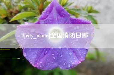 肇庆全国消防日哪一