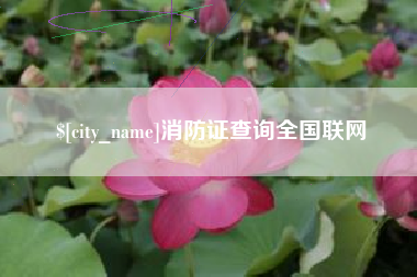 肇庆消防证查询全国联网