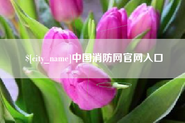 肇庆中国消防网官网入口