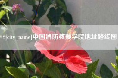 肇庆中国消防救援学院地址路线图