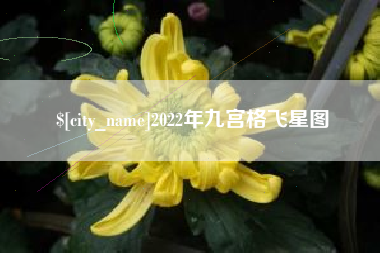 肇庆2022年九宫格飞星图