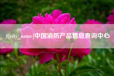 肇庆中国消防产品信息查询中心