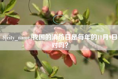 肇庆我国的消防日是每年的11月9日对吗？
