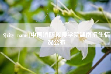 肇庆中国消防救援学院湖南招生情况公布