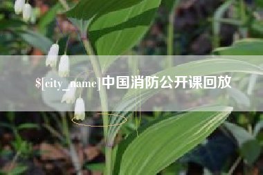 肇庆中国消防公开课回放