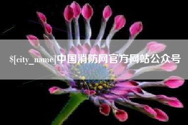 肇庆中国消防网官方网站公众号