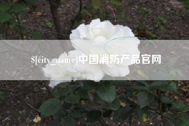 肇庆中国消防产品官网