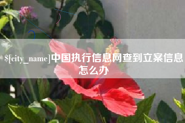 肇庆中国执行信息网查到立案信息怎么办