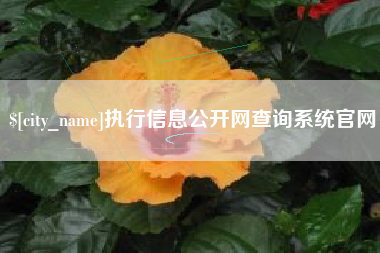 肇庆执行信息公开网查询系统官网