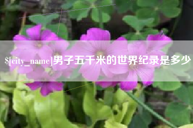 肇庆男子五千米的世界纪录是多少