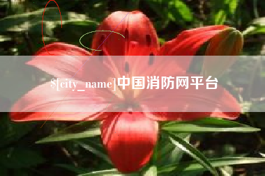 肇庆中国消防网平台