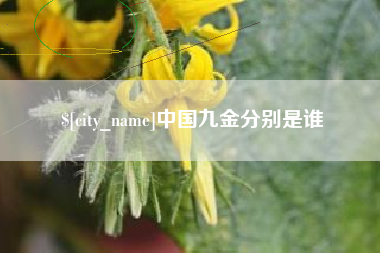 肇庆中国九金分别是谁