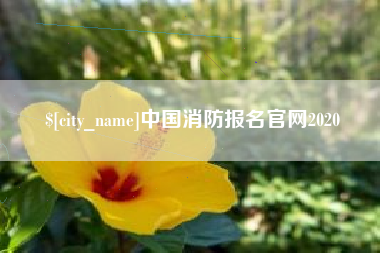 肇庆中国消防报名官网2020