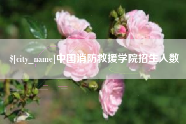 肇庆中国消防救援学院招生人数