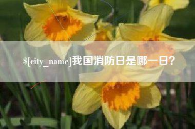 肇庆我国消防日是哪一日？