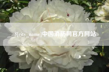 肇庆中国消防网官方网站