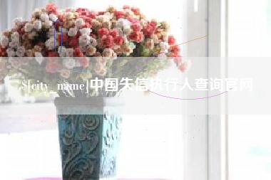 肇庆中国失信执行人查询官网
