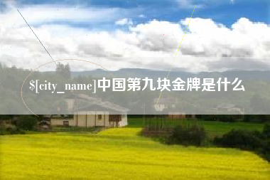 肇庆中国第九块金牌是什么