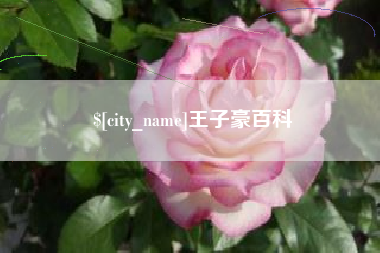 肇庆王子豪百科