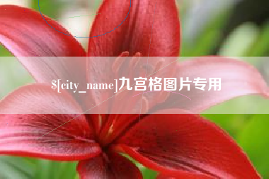 肇庆九宫格图片专用
